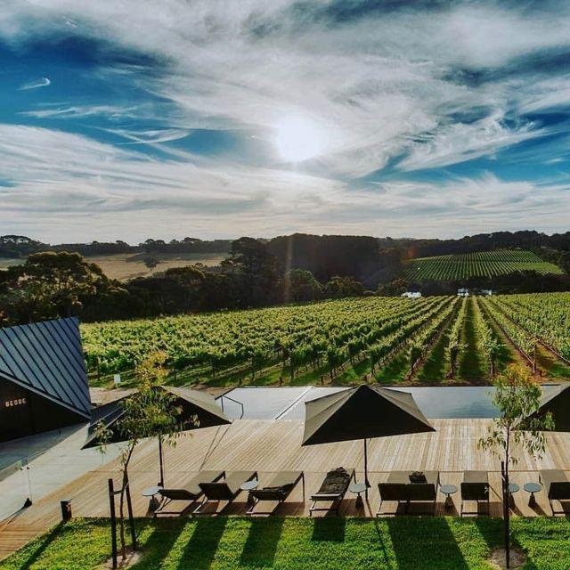 Mornington Peninsula Wine Tour