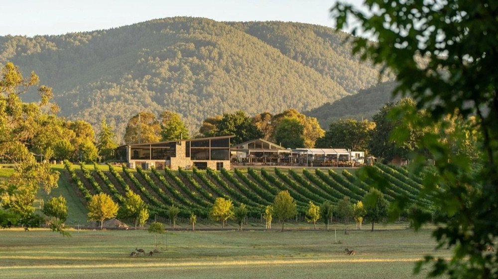 Yarra Valley winery